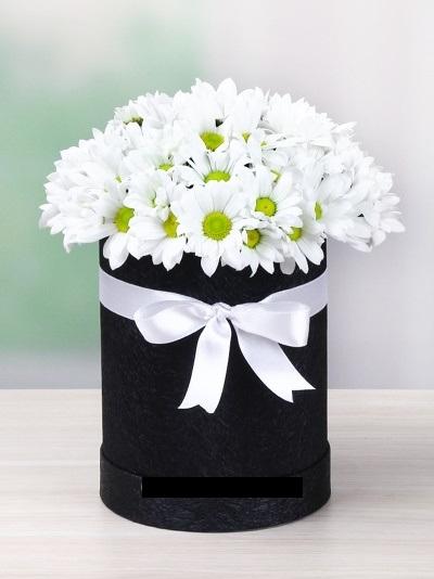 siyah silindir kutada papatyalar