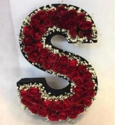 Çılgın Aşk Kişiye Özel Kırmızı Güllerden Harf