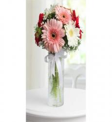Gerbera Aranjmanı